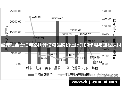 篮球社会责任与影响评估对品牌价值提升的作用与路径探讨