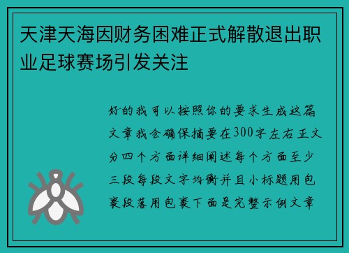 天津天海因财务困难正式解散退出职业足球赛场引发关注 天津天海因财务困难正式解散退出职业足球赛场引发关注